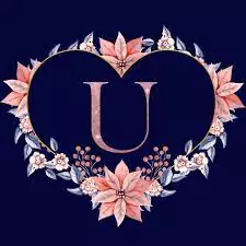 u dp image